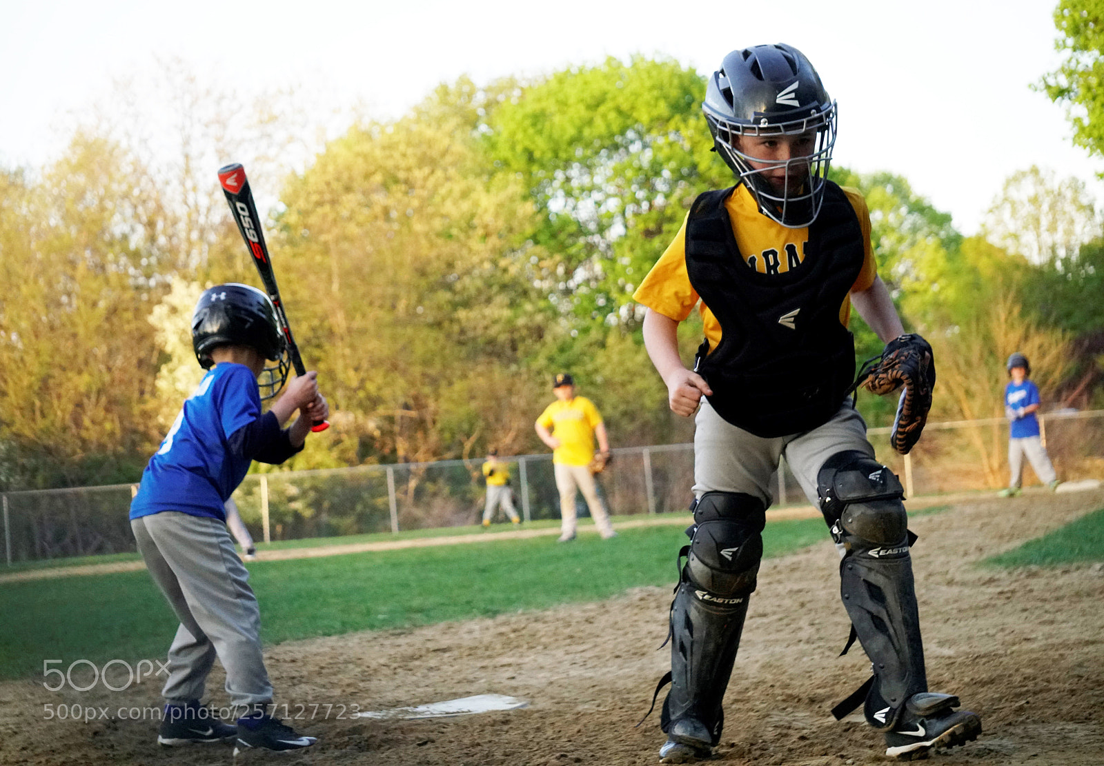 Sony a6500 sample photo. Catcher goes for the photography