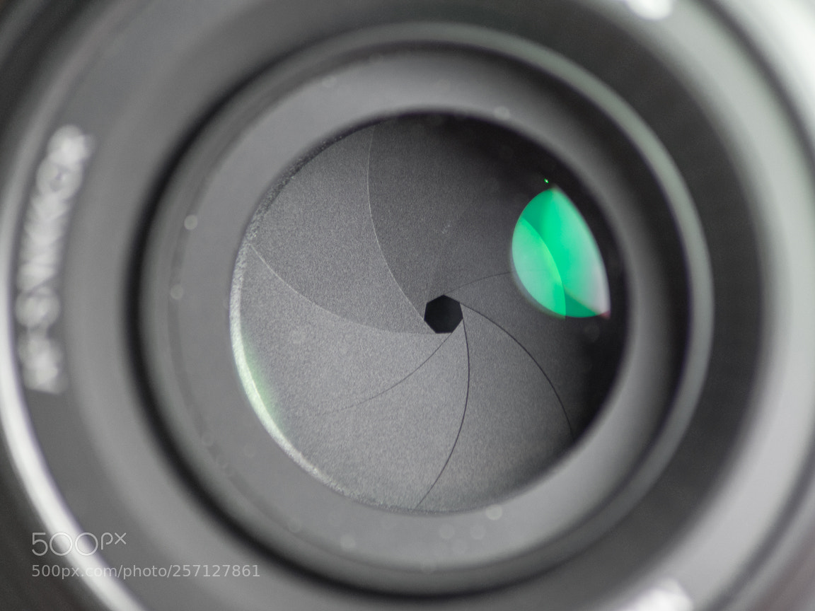 Nikon D3400 sample photo. 50mm lens photography
