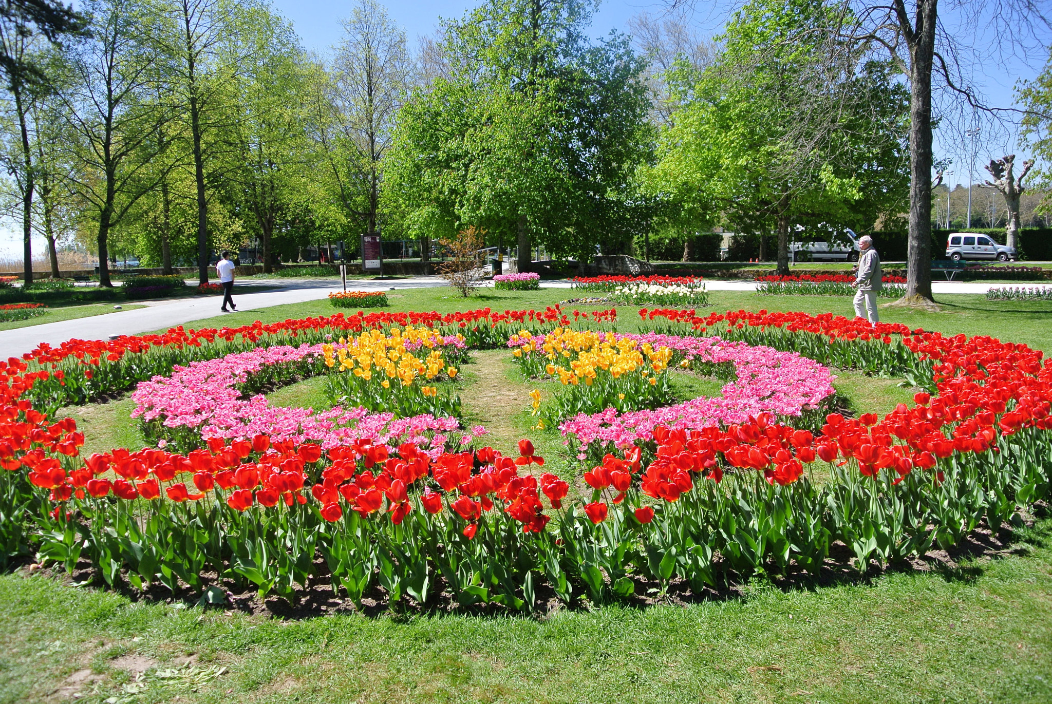 Nikon 1 J1 sample photo. Flowers in switzerland photography