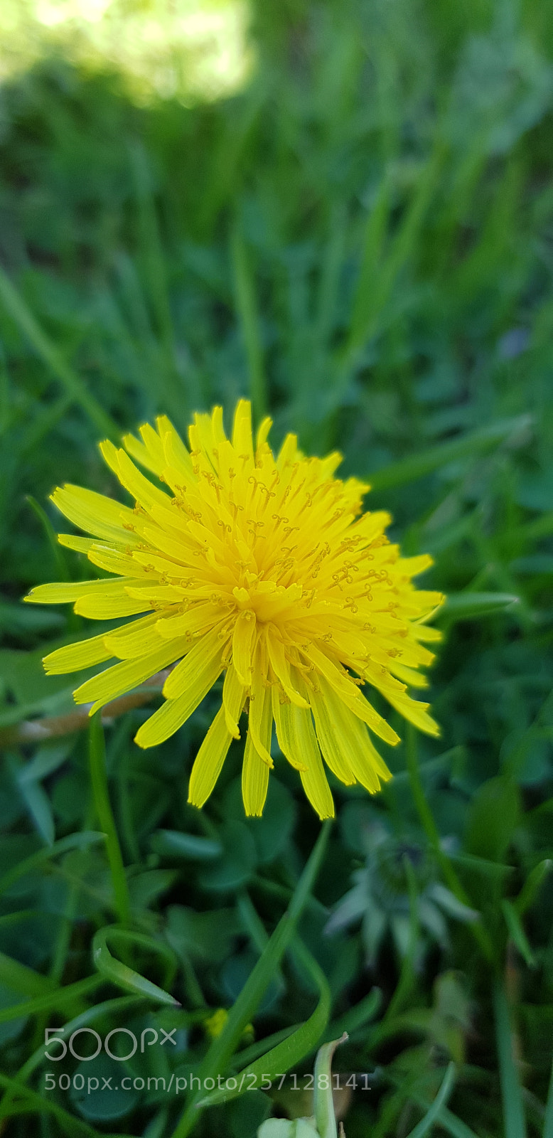 Samsung Galaxy S8+ sample photo. Untitled photography