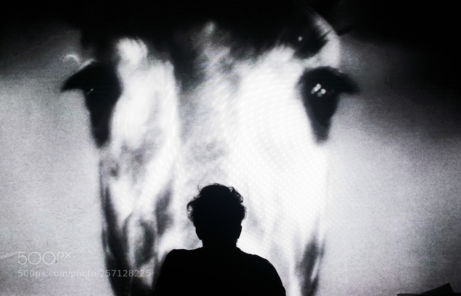 Nikon D3400 sample photo. Glances blackandwhite light photo photography