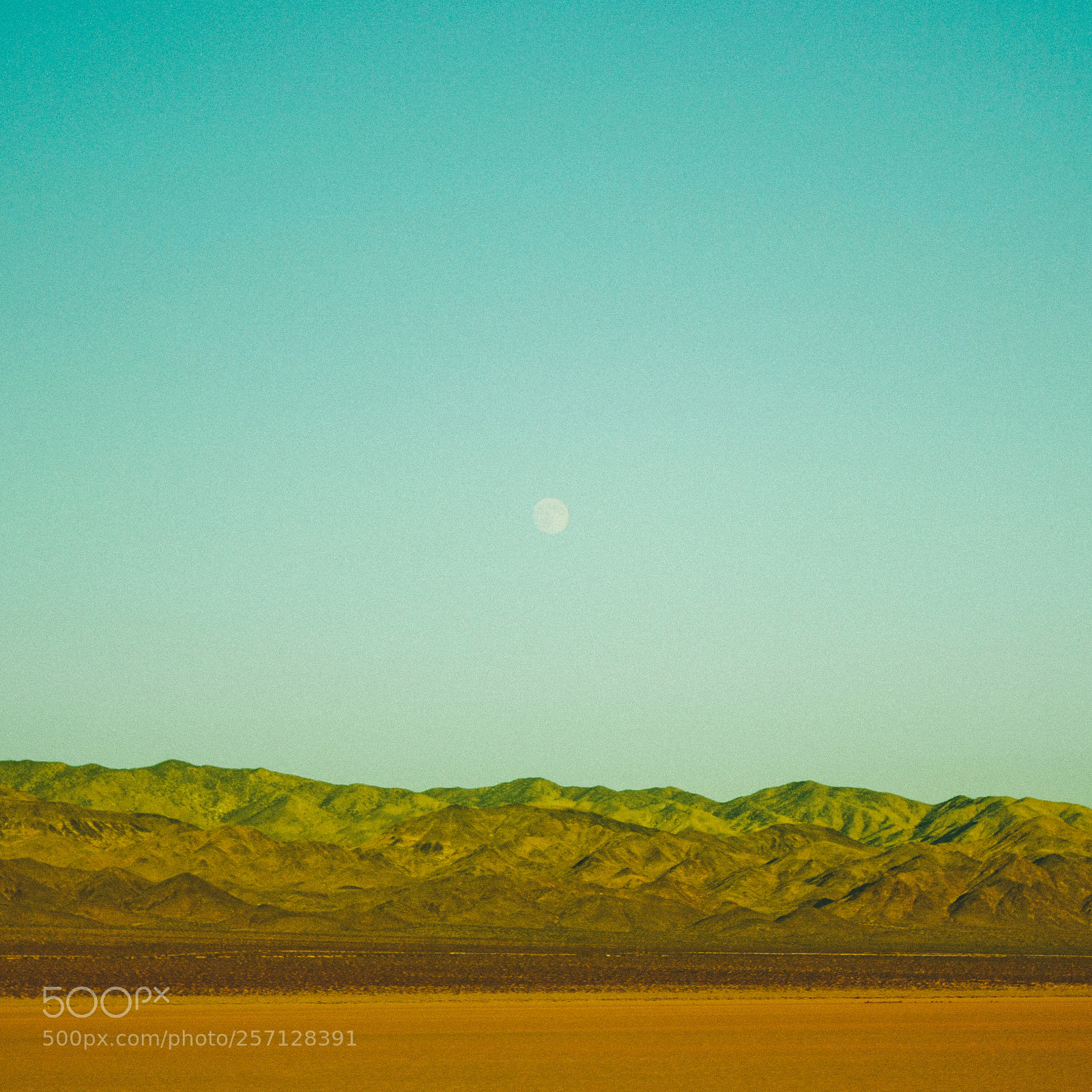Canon EOS 450D (EOS Rebel XSi / EOS Kiss X2) sample photo. “this desert life” photography