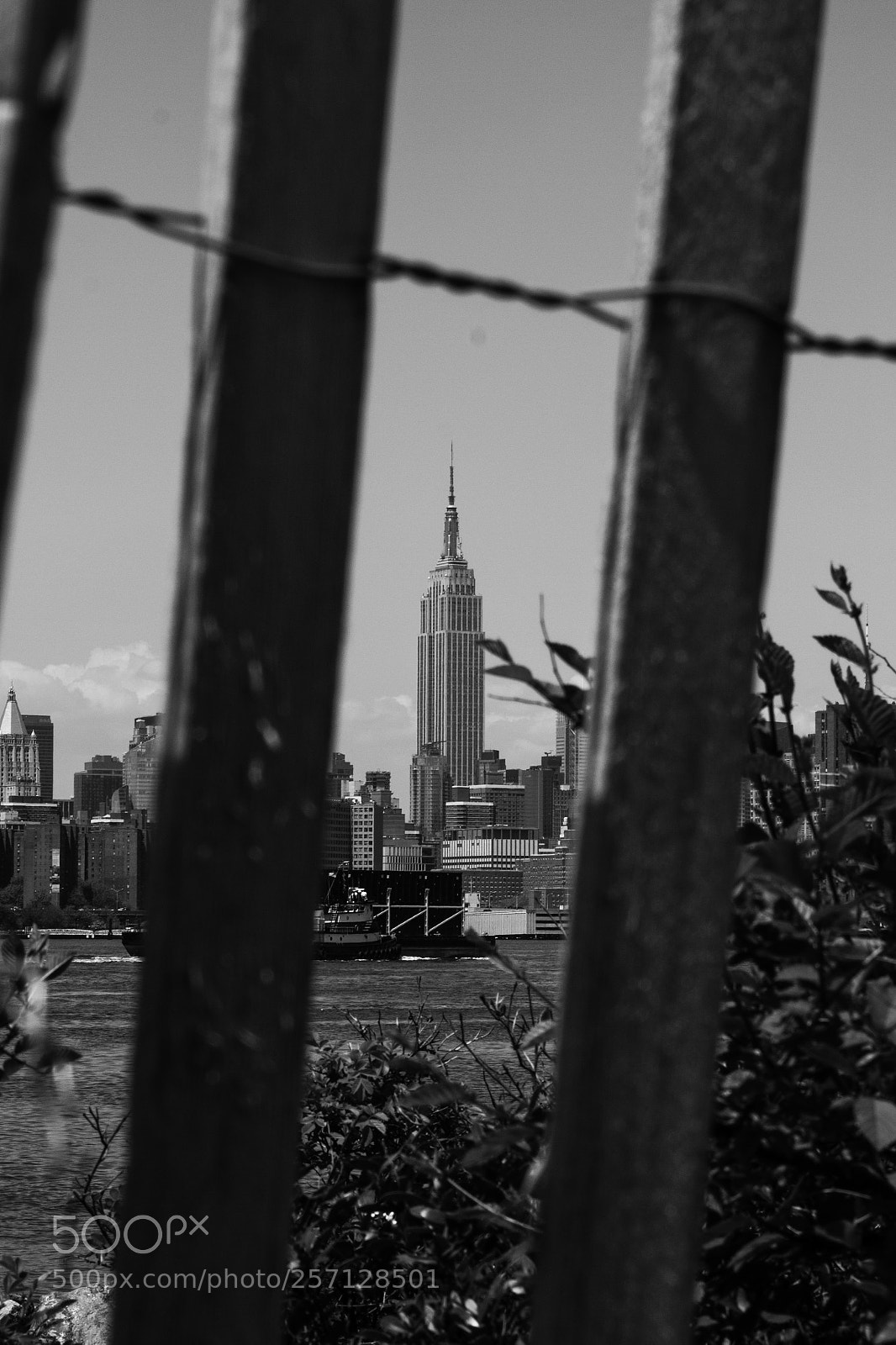 Canon EOS 600D (Rebel EOS T3i / EOS Kiss X5) sample photo. Through the cracks photography