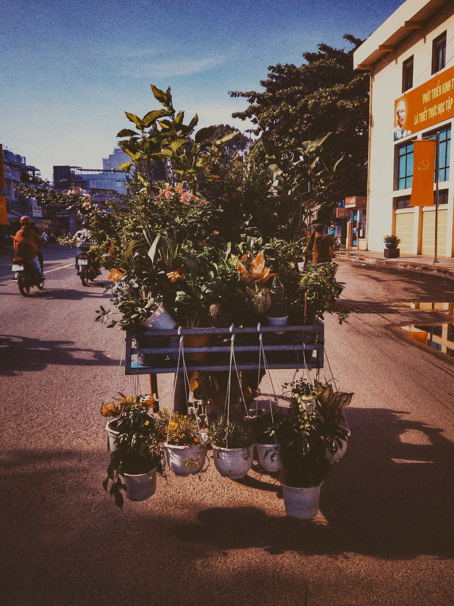 HTC U11 sample photo. Mobile flowers photography