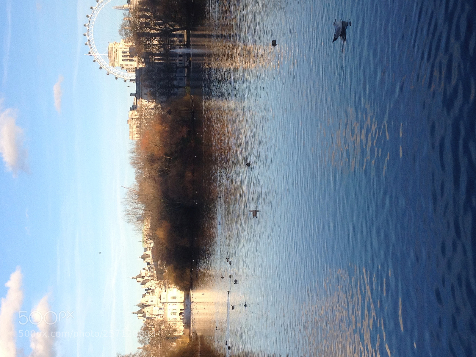 Apple iPhone 4S sample photo. Img_4186.jpg photography