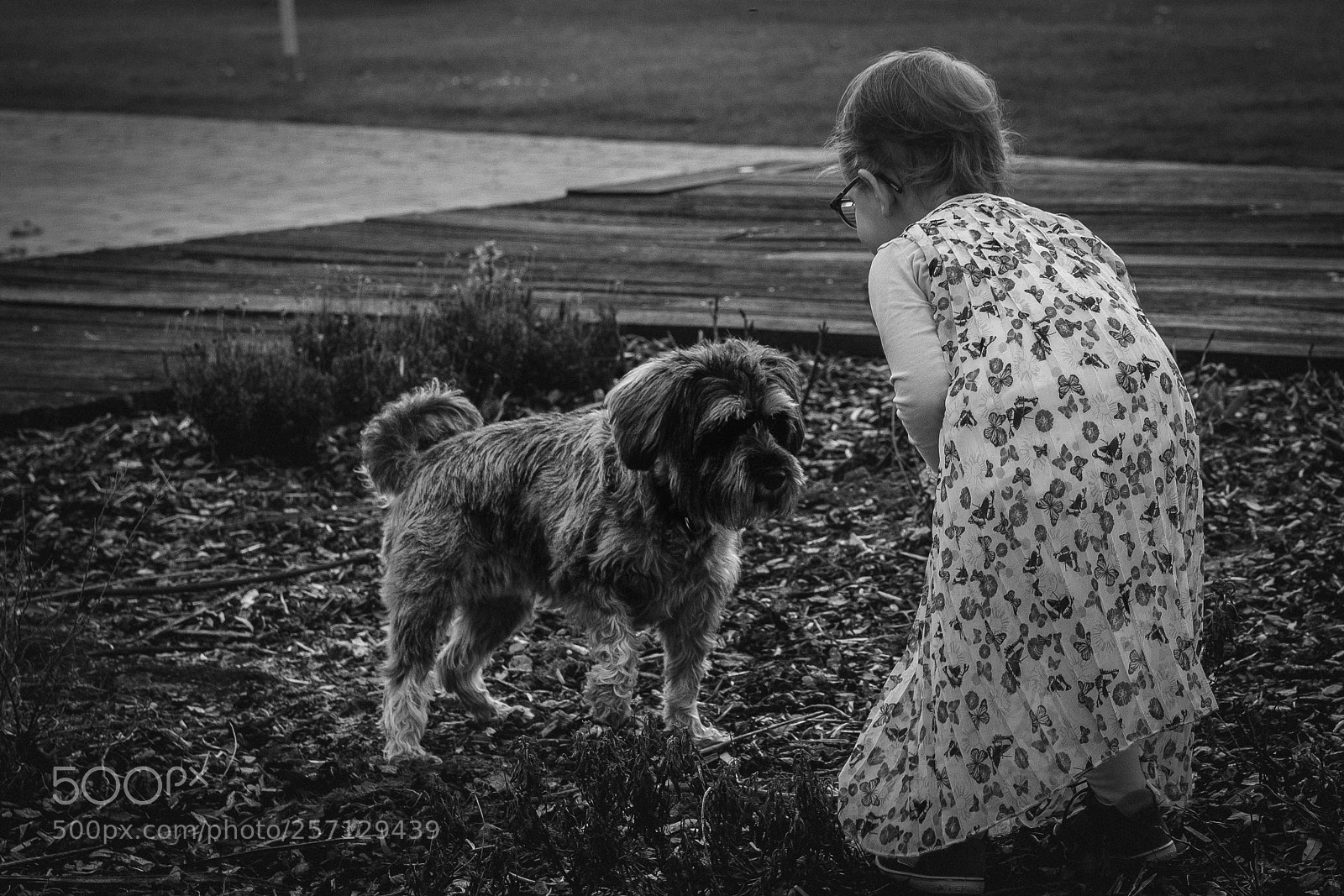Fujifilm X-T2 sample photo. Friends photography