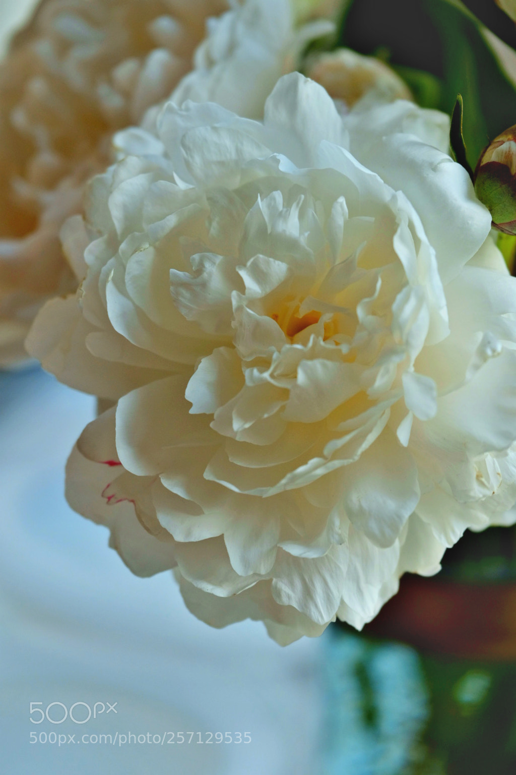Fujifilm X-T2 sample photo. Untitled photography