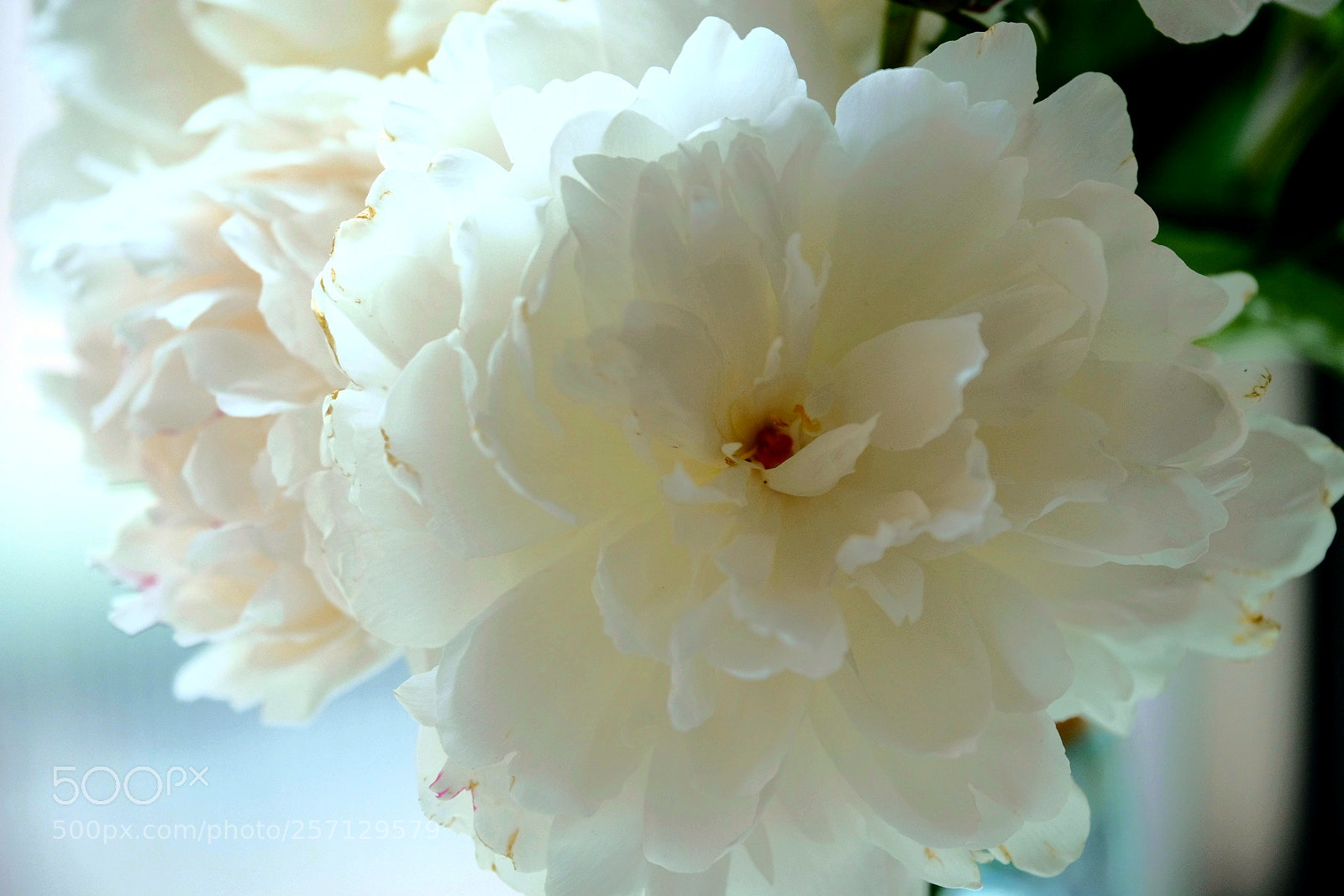 Fujifilm X-T2 sample photo. Untitled photography