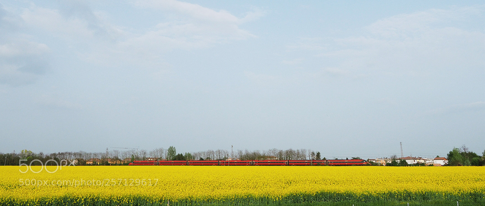 Olympus OM-D E-M1 Mark II sample photo. Untitled photography