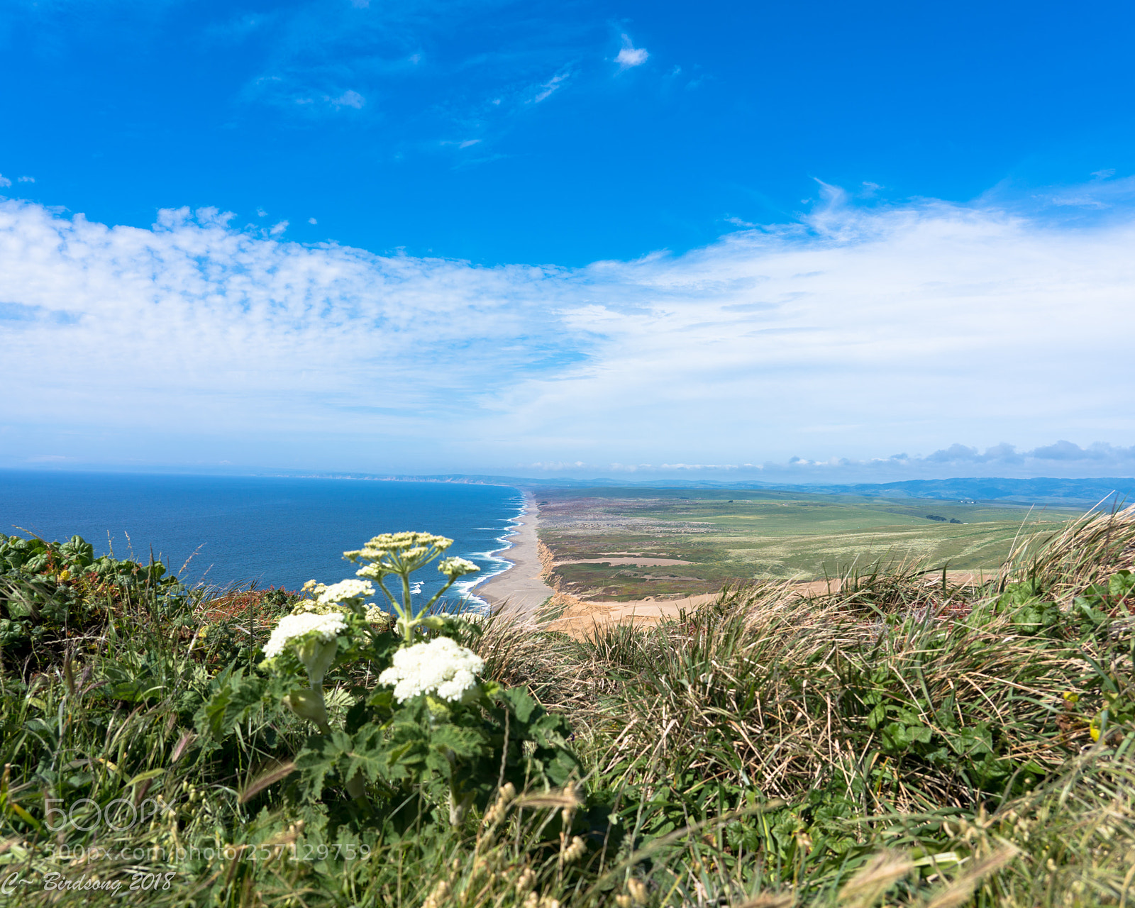 Sony a7R III sample photo. Point reyes photography