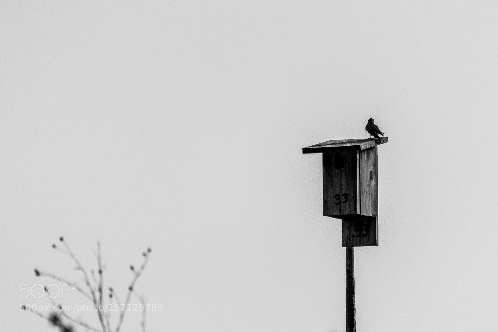 Nikon D7200 sample photo. 33 photography