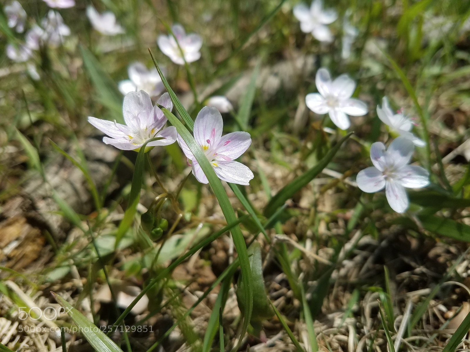 Samsung Galaxy S7 sample photo. Untitled photography