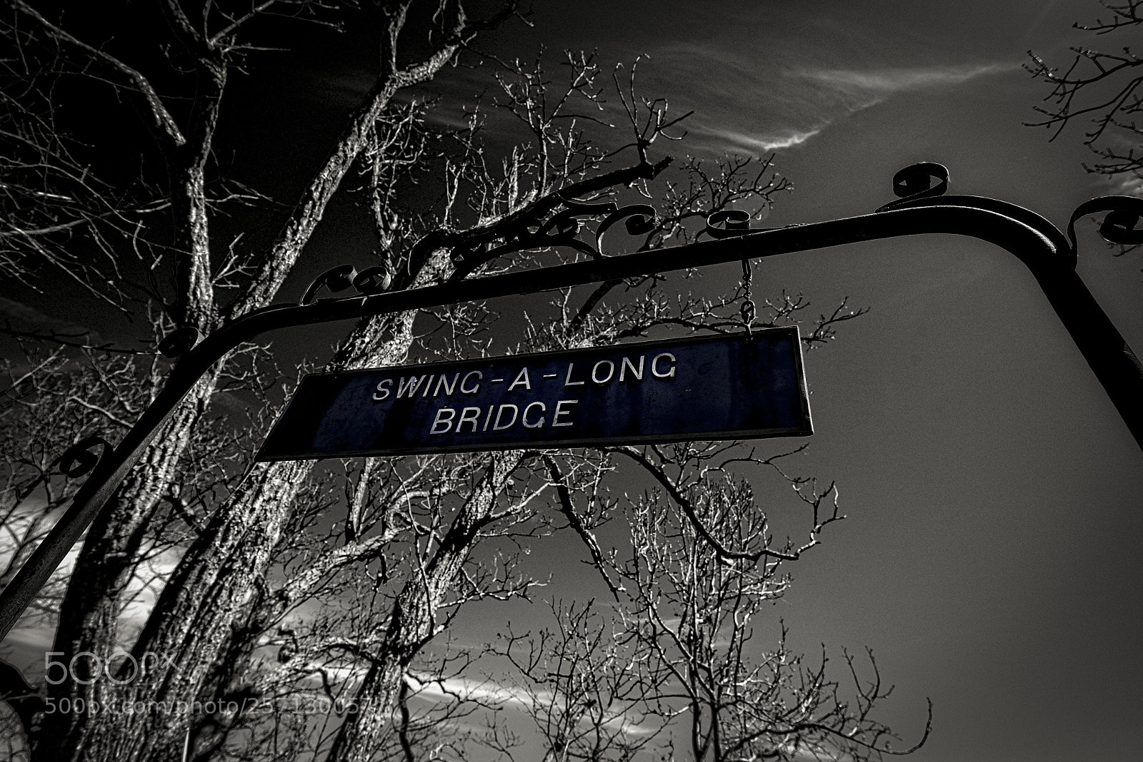 Nikon D810 sample photo. Bridge photography