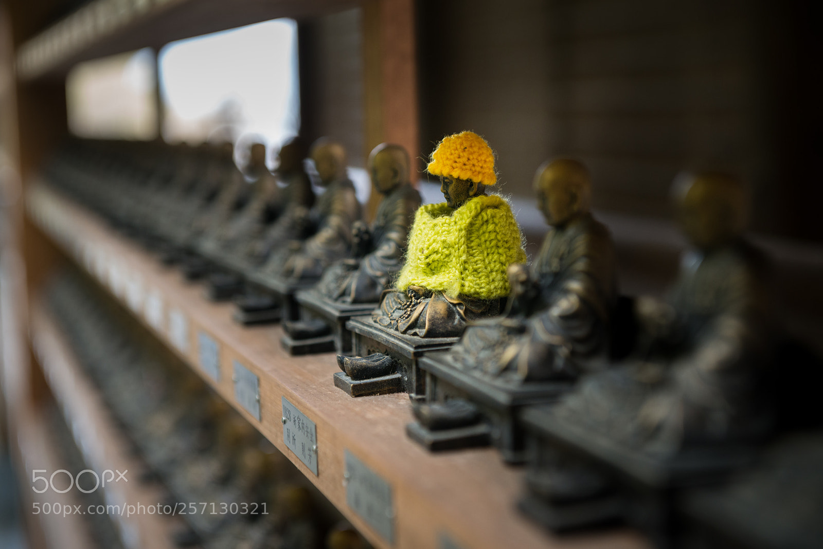 Nikon D800 sample photo. Buddhas don't freeze photography