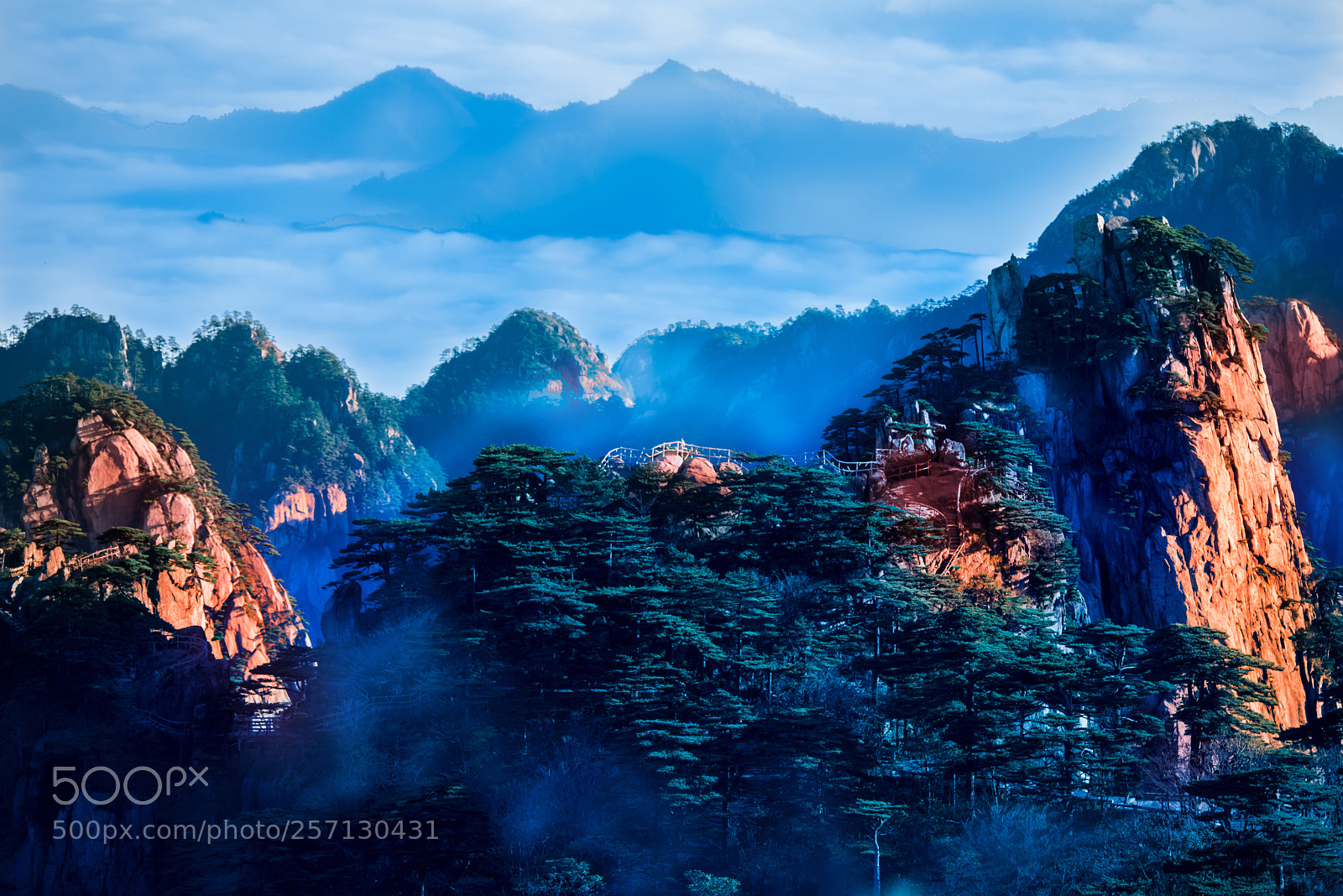 Nikon D810 sample photo. 黄山之晨 photography