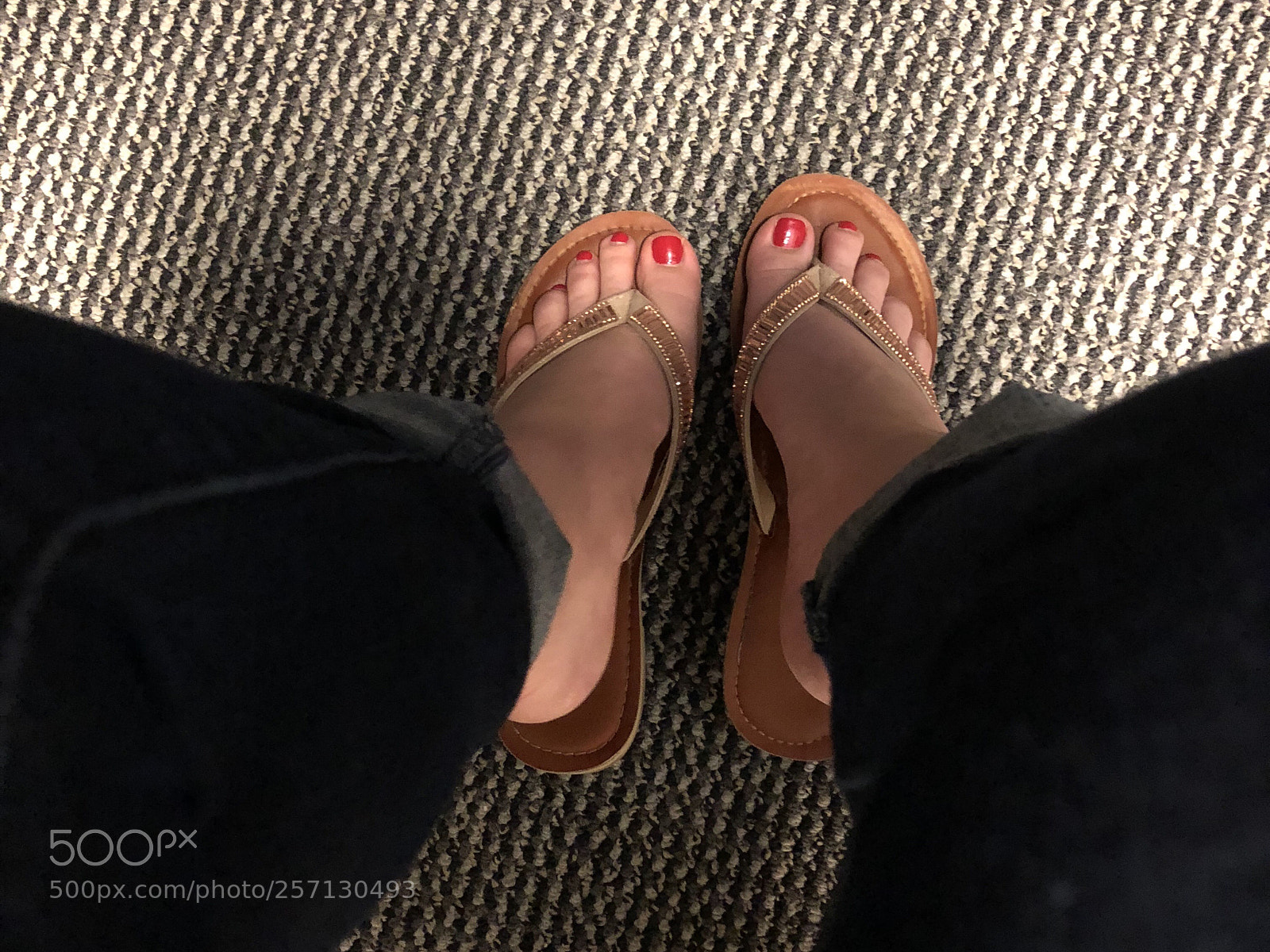 Apple iPhone 8 Plus sample photo. Untitled photography