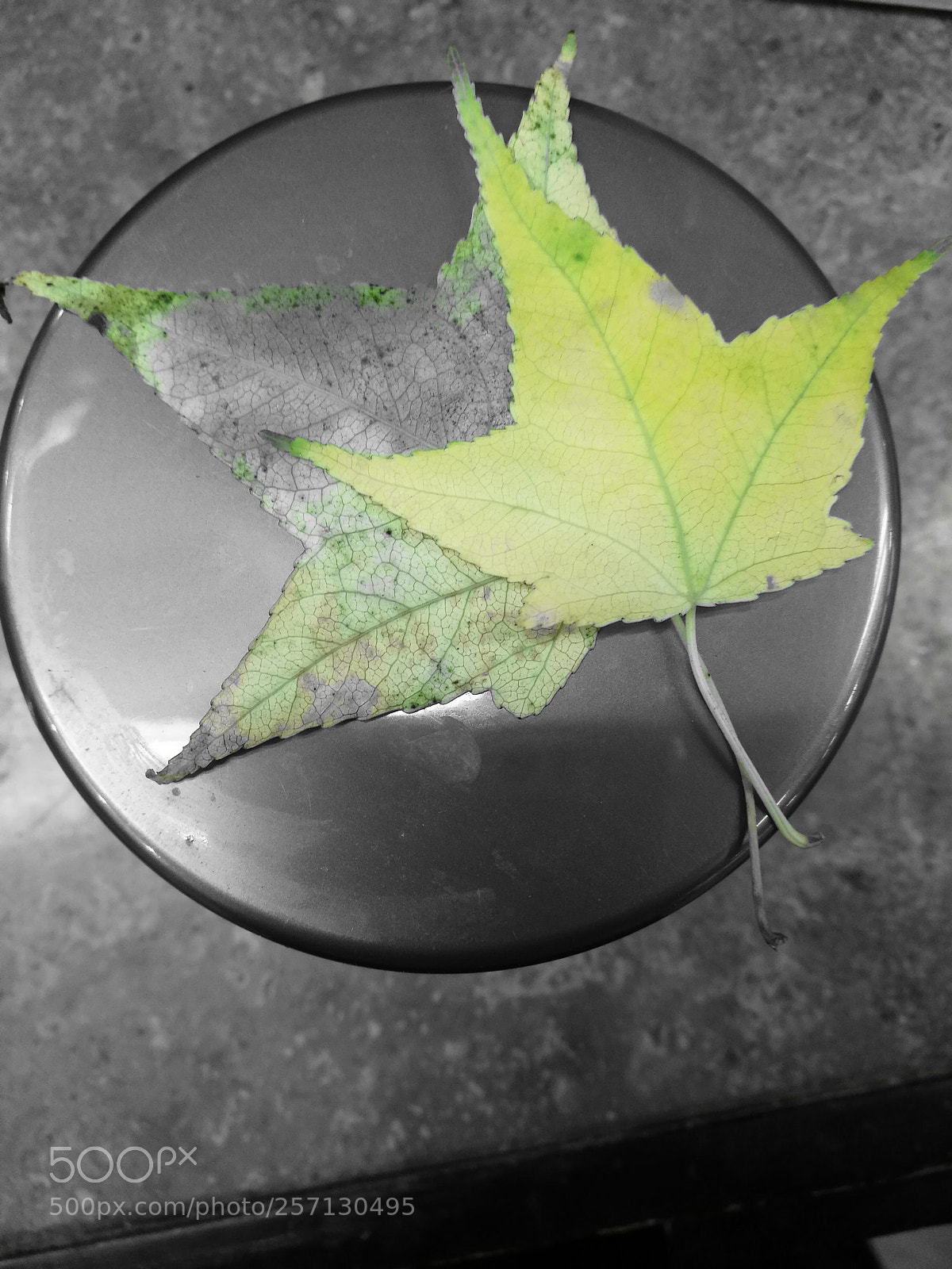 HUAWEI P9 Plus sample photo. Untitled photography