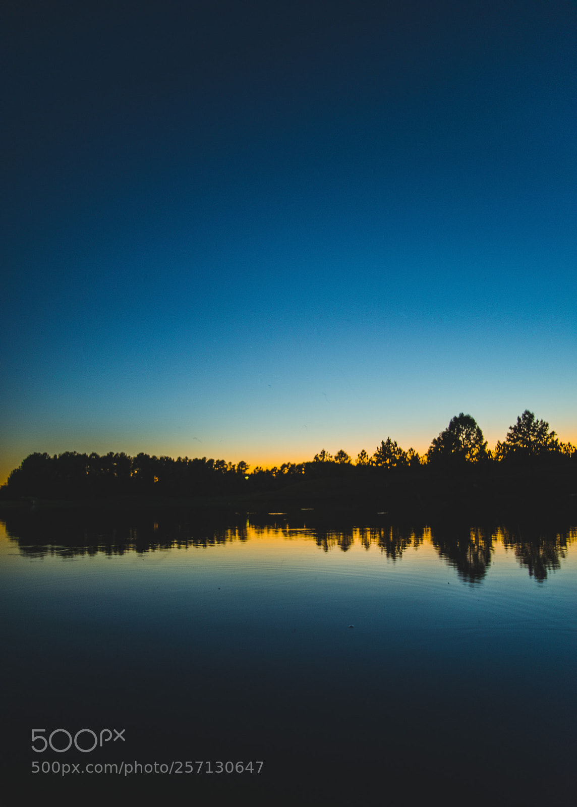 Nikon D600 sample photo. Silhouetted horizon (birmingham, al) photography