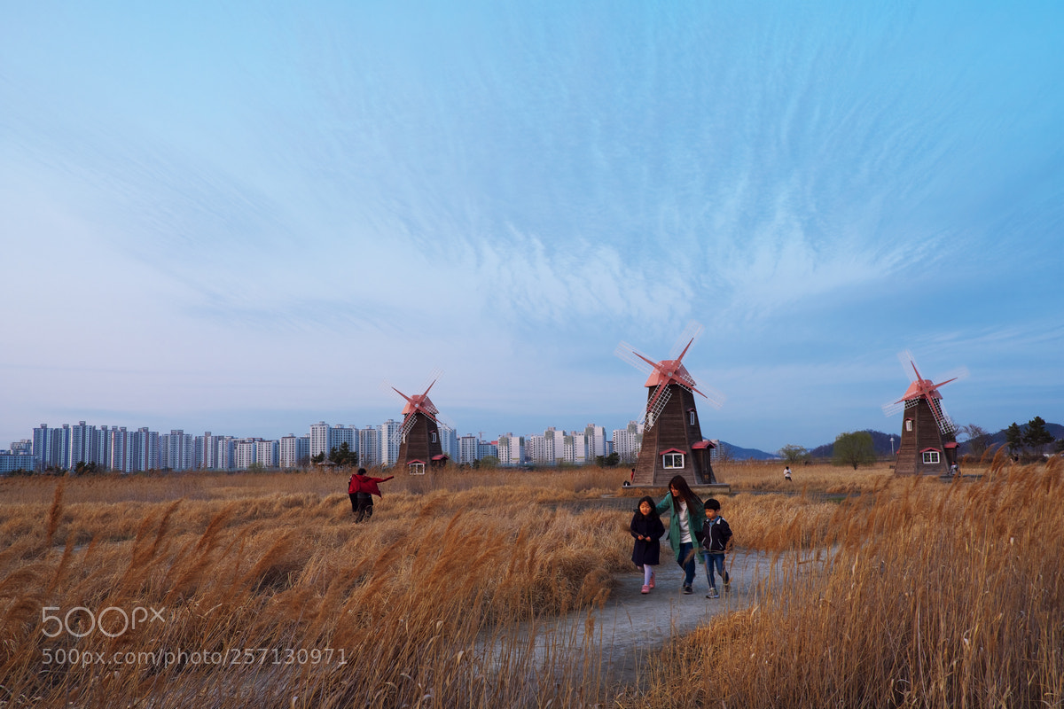 Fujifilm X-T20 sample photo. Sorae marsh ecological park photography