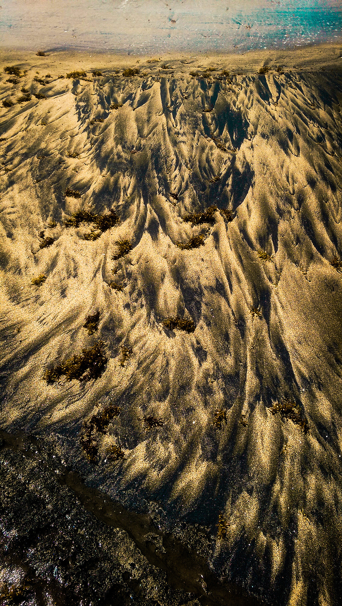 HTC ONE M8 sample photo. Natural art photography