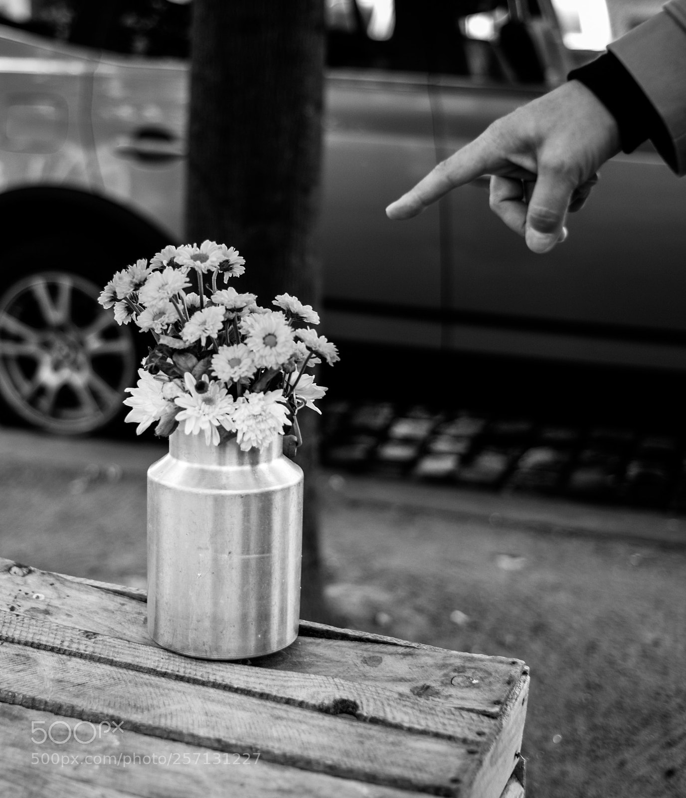 Leica M (Typ 240) sample photo. Berlin flower pot photography