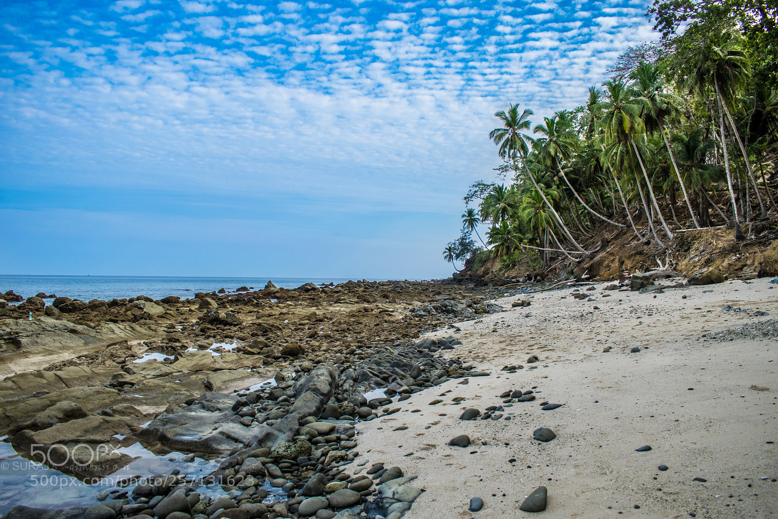 Nikon D3300 sample photo. Secluded one photography