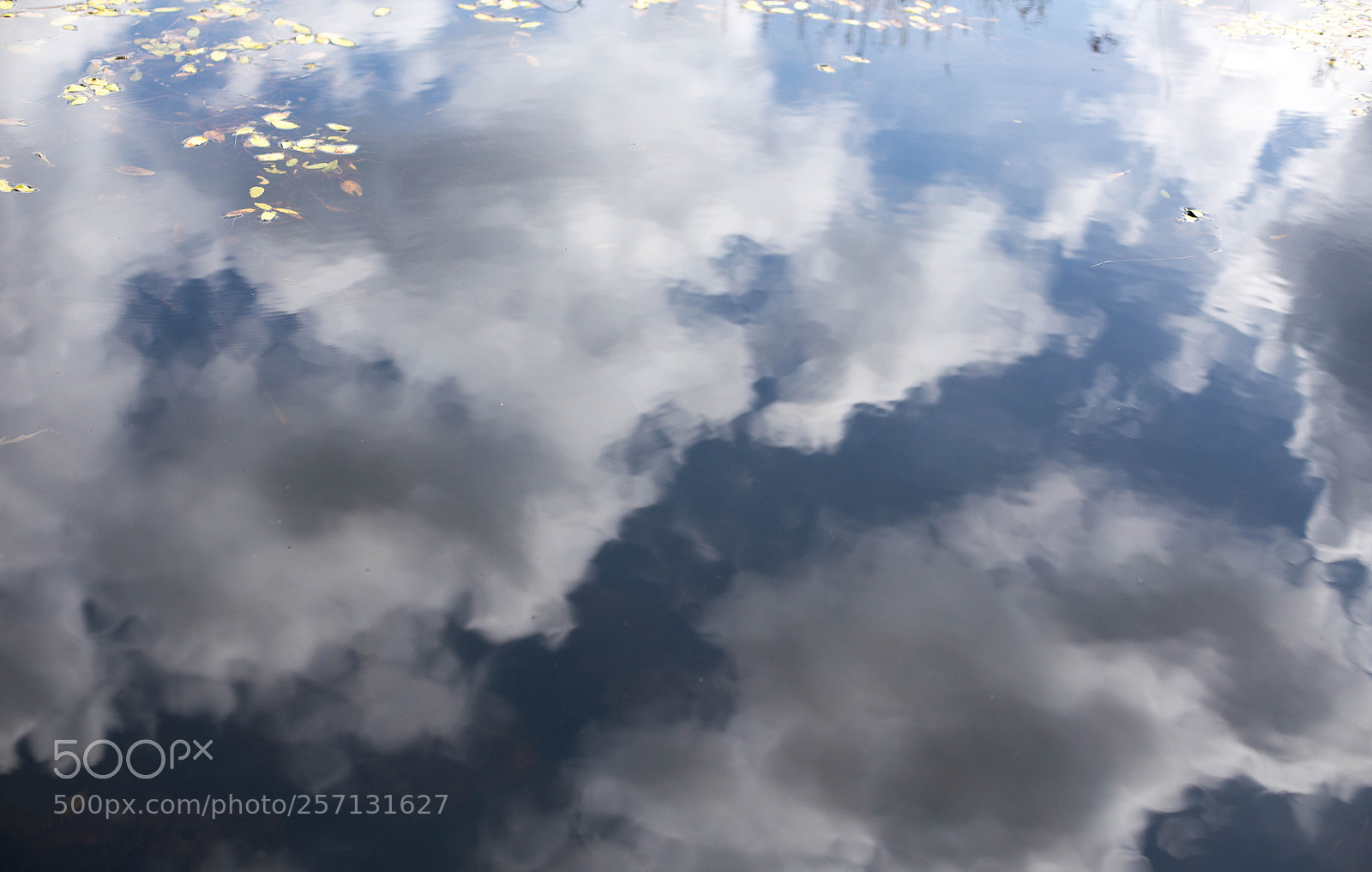 Canon EOS 6D sample photo. Pond photography