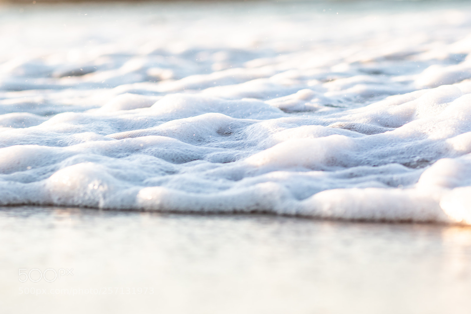 Canon EOS 7D Mark II sample photo. Foam photography