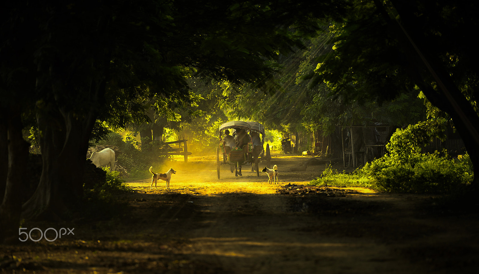Nikon D4 sample photo. Countryside photography