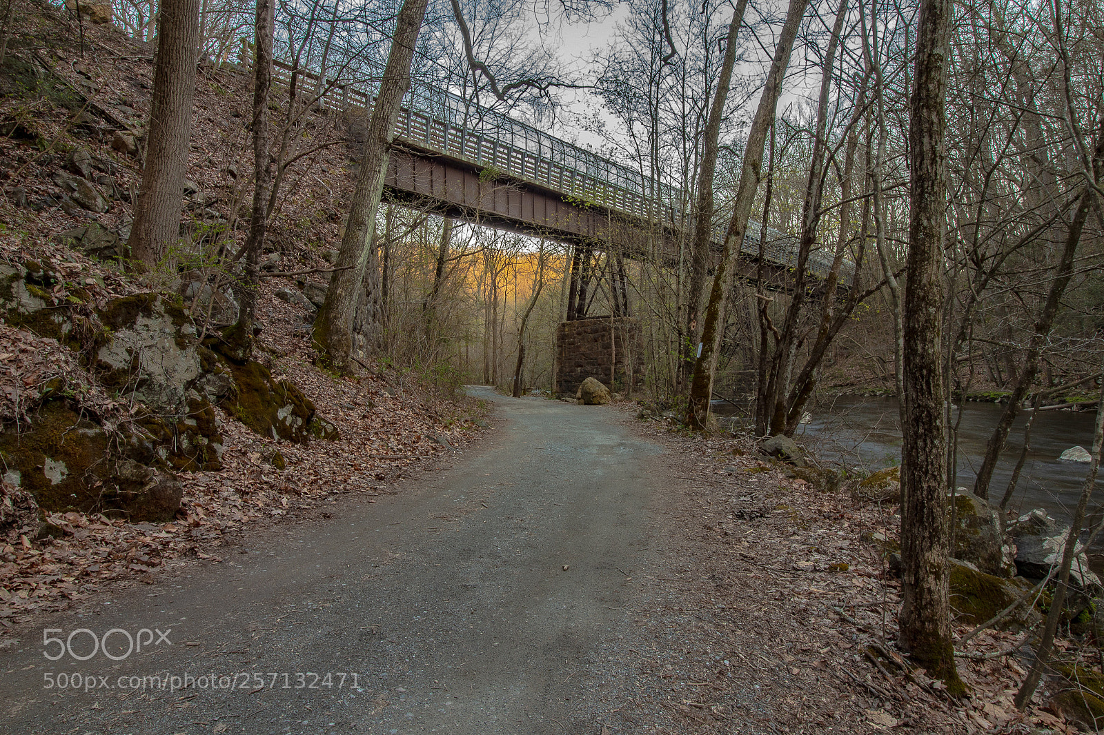 Canon EOS 1300D (EOS Rebel T6 / EOS Kiss X80) sample photo. Train bridge photography