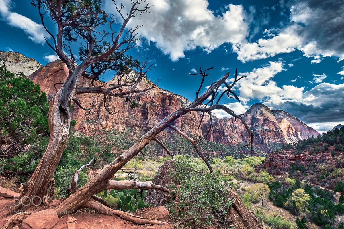Fujifilm X-T2 sample photo. Leaning over the canyon photography