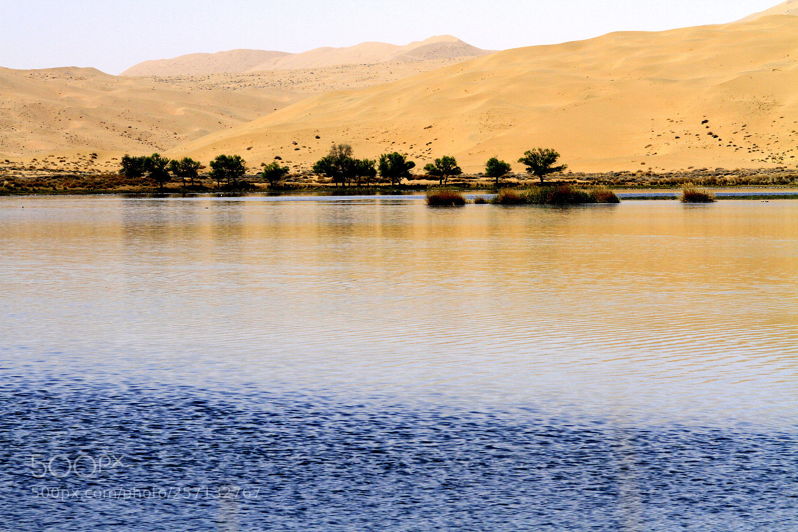 Canon EOS 7D sample photo. Desert haizi photography
