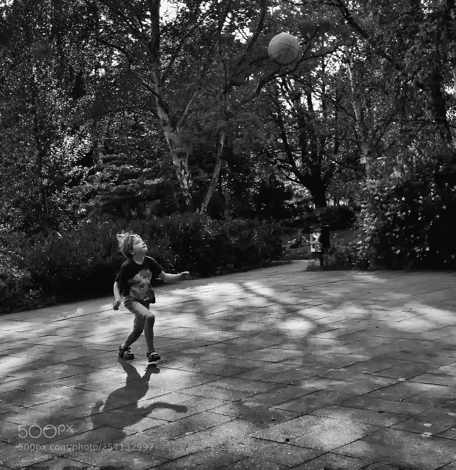 Leica M (Typ 240) sample photo. Boy with ball in photography