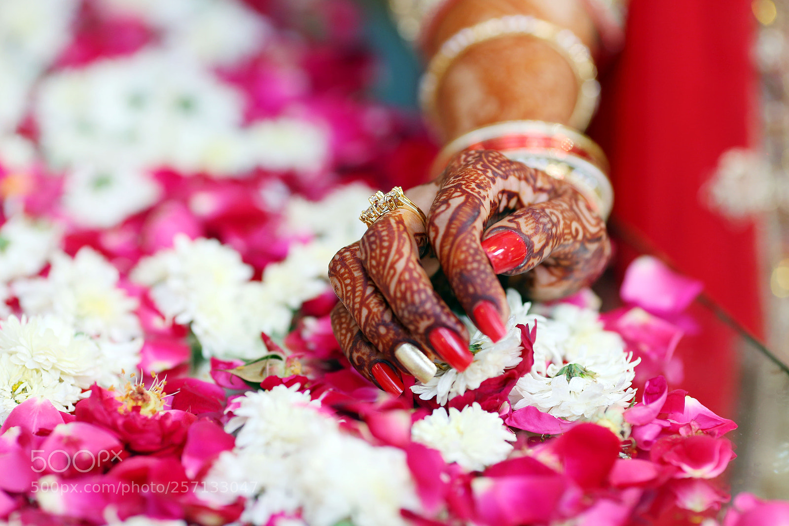 Canon EOS 6D sample photo. Candid shots photography