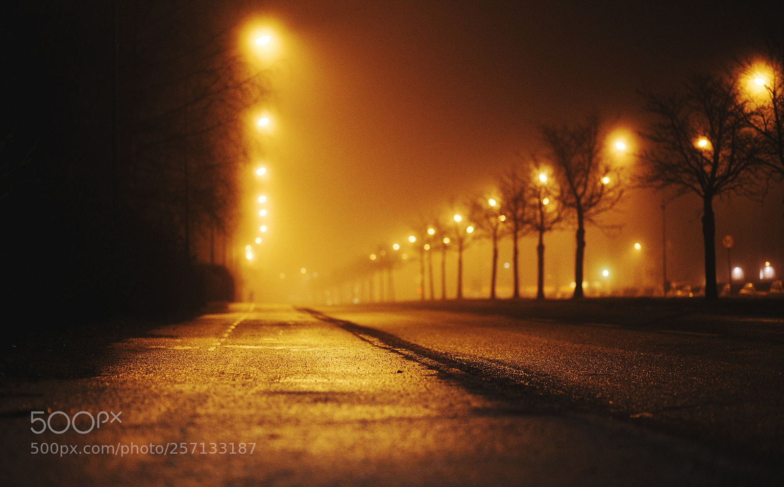 Canon EOS 6D sample photo. Foggy nightlight photography