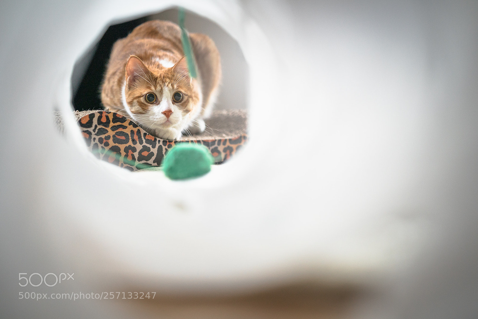 Sony a7S II sample photo. White ikea tunnel photography