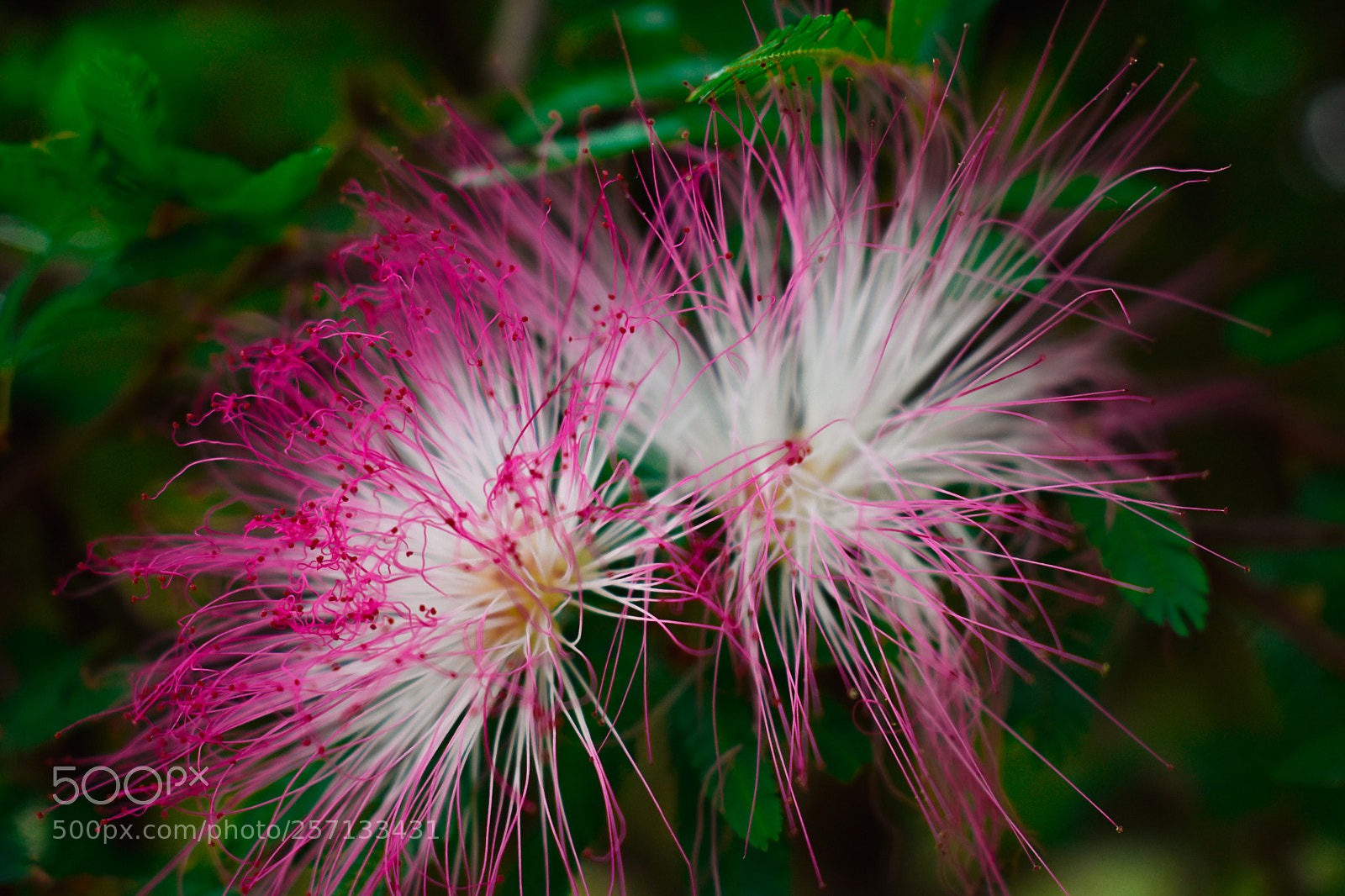 Nikon D5600 sample photo. Untitled photography