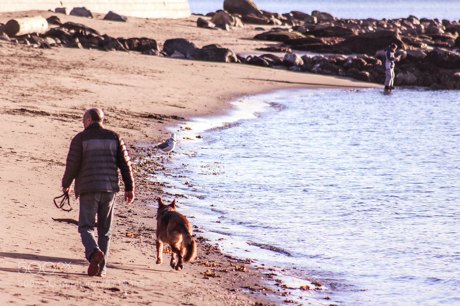 Canon EOS 700D (EOS Rebel T5i / EOS Kiss X7i) sample photo. Man walking with the photography