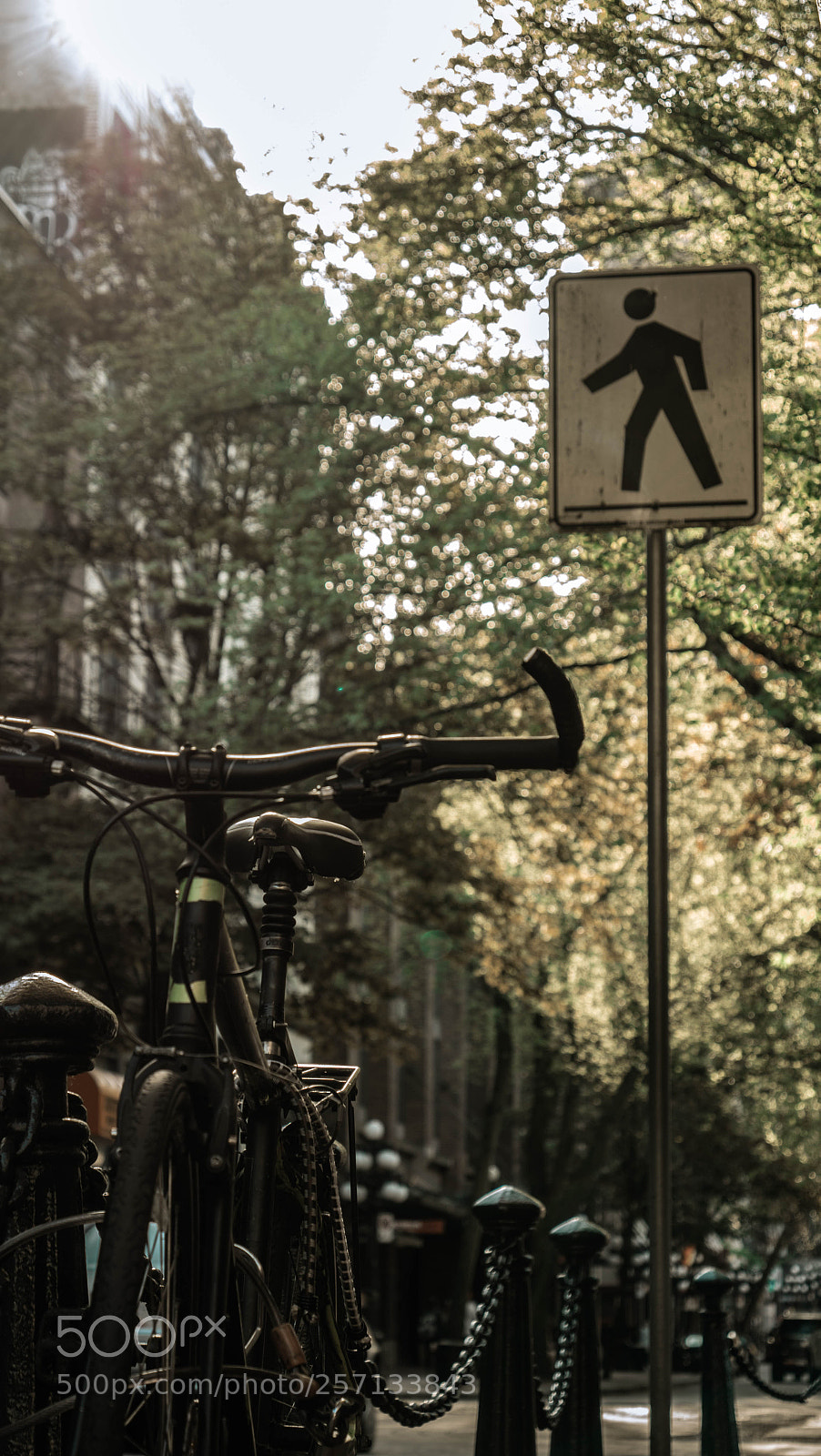 Panasonic Lumix DC-GH5 sample photo. Bicycle and sign photography