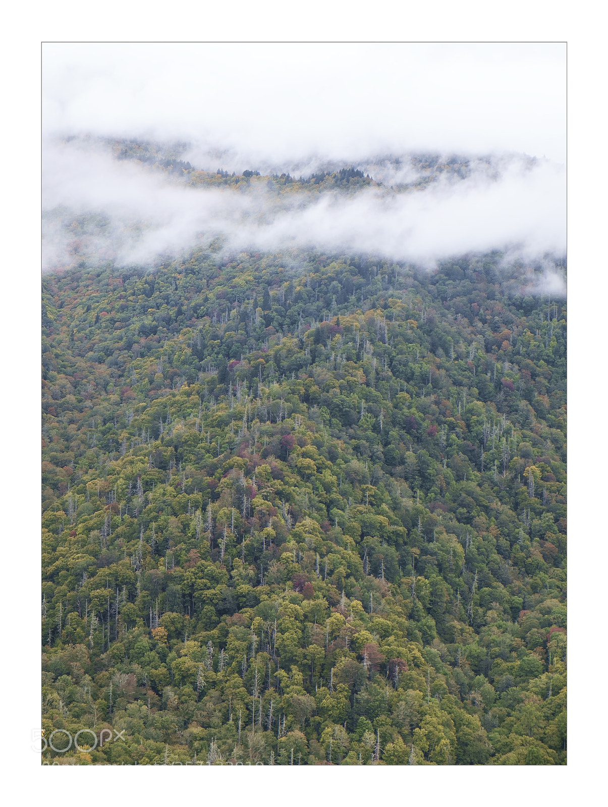 Fujifilm X-E1 sample photo. The great smoky mountain photography