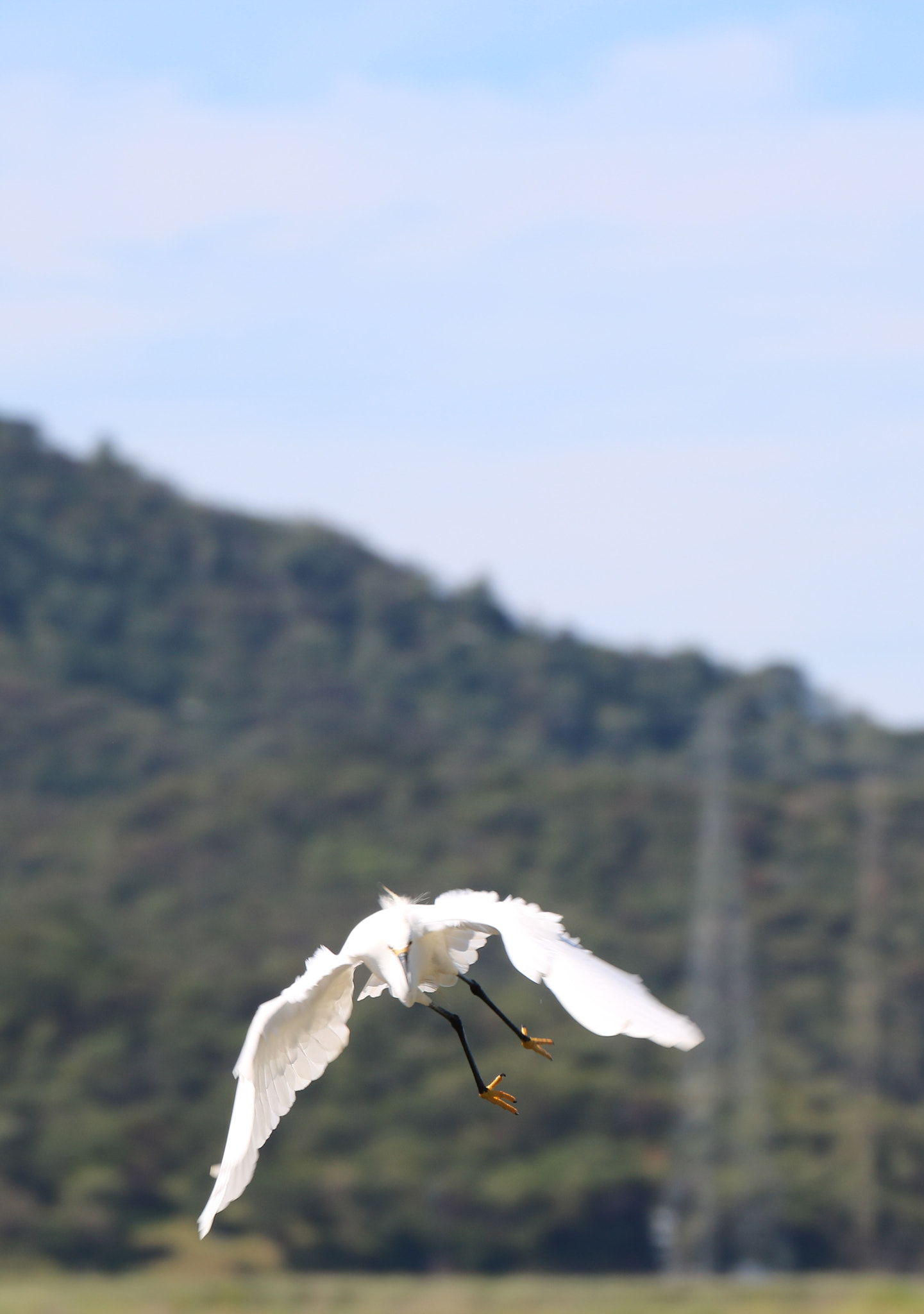 Canon EOS 750D (EOS Rebel T6i / EOS Kiss X8i) sample photo. Incoming photography