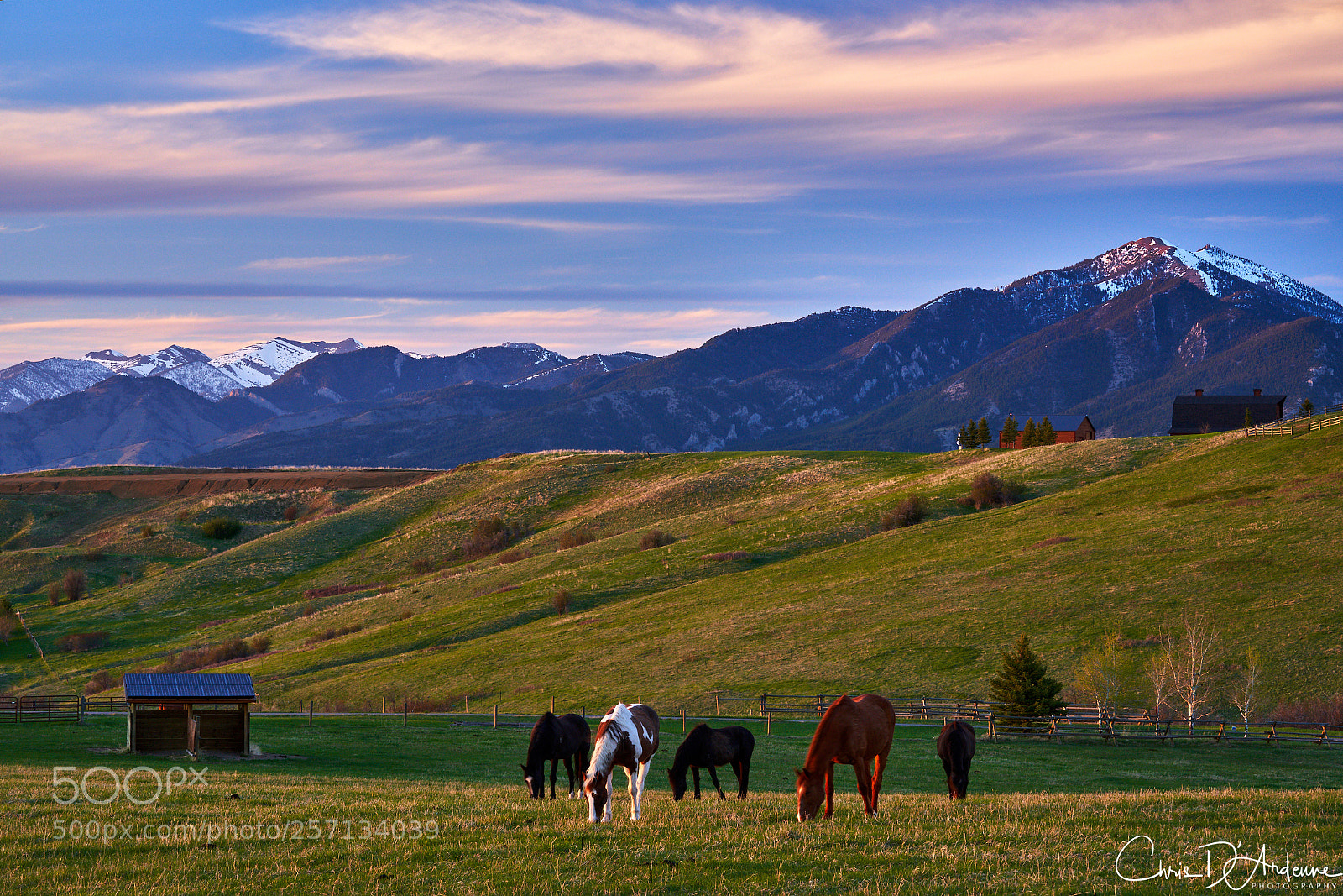Sony a7R III sample photo. Gallatin valley spring photography