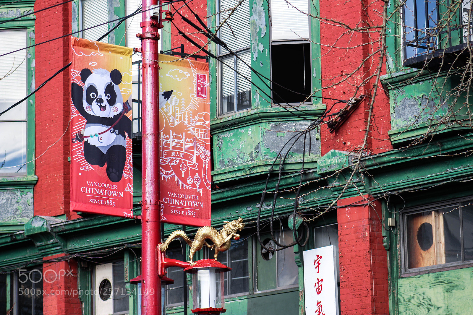 Canon EOS 700D (EOS Rebel T5i / EOS Kiss X7i) sample photo. Vancouver chinatown new year photography