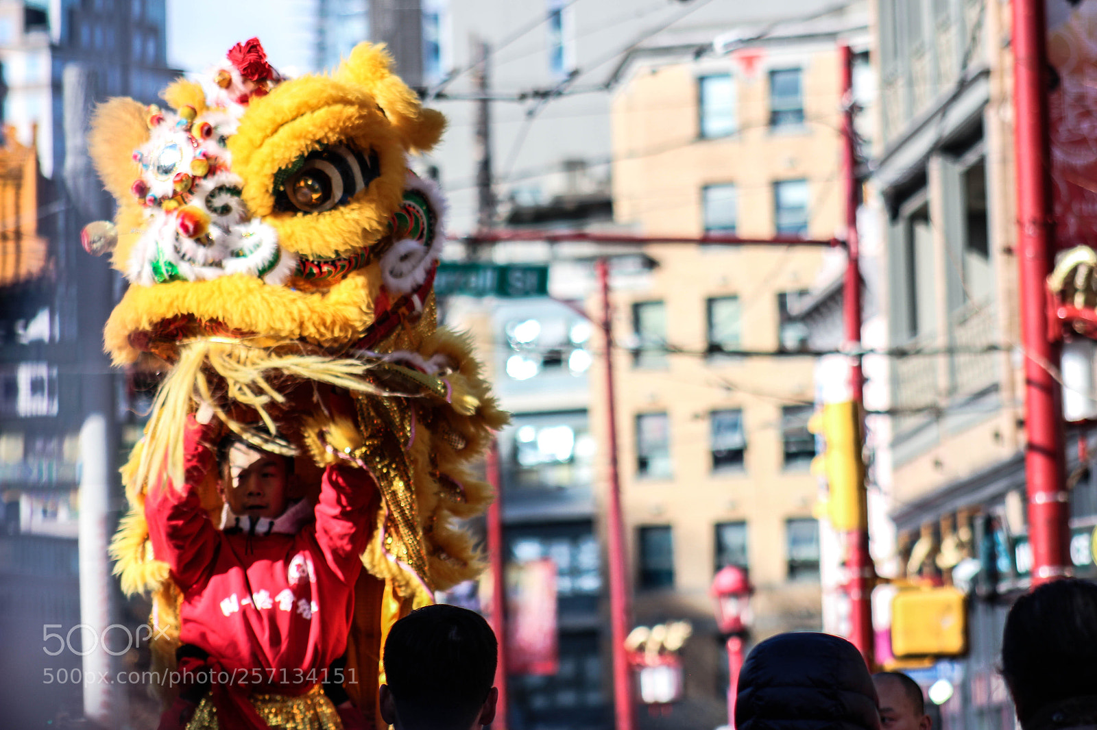 Canon EOS 700D (EOS Rebel T5i / EOS Kiss X7i) sample photo. Colorful lion in the photography