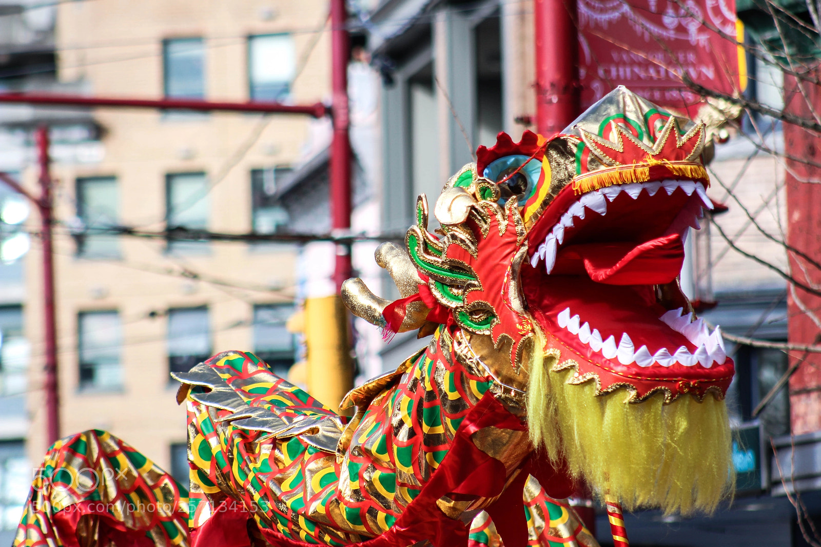 Canon EOS 700D (EOS Rebel T5i / EOS Kiss X7i) sample photo. Dragon in the chinese photography