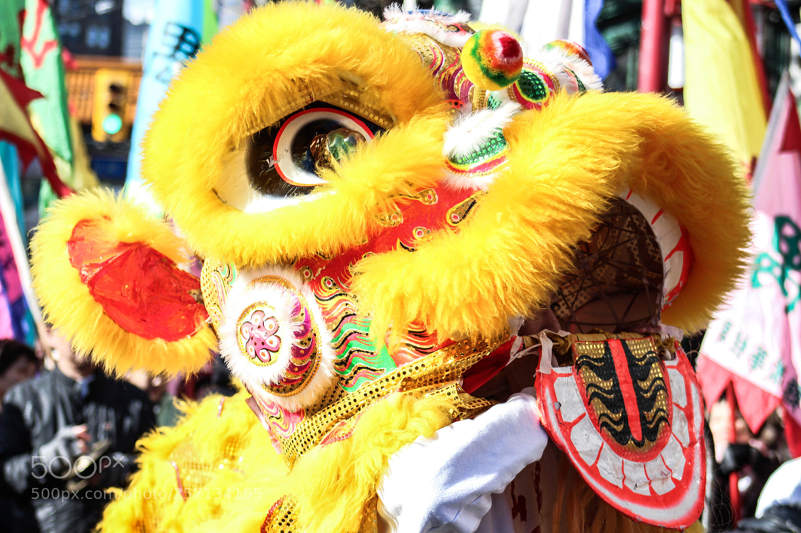 Canon EOS 700D (EOS Rebel T5i / EOS Kiss X7i) sample photo. Colorful lion in the photography
