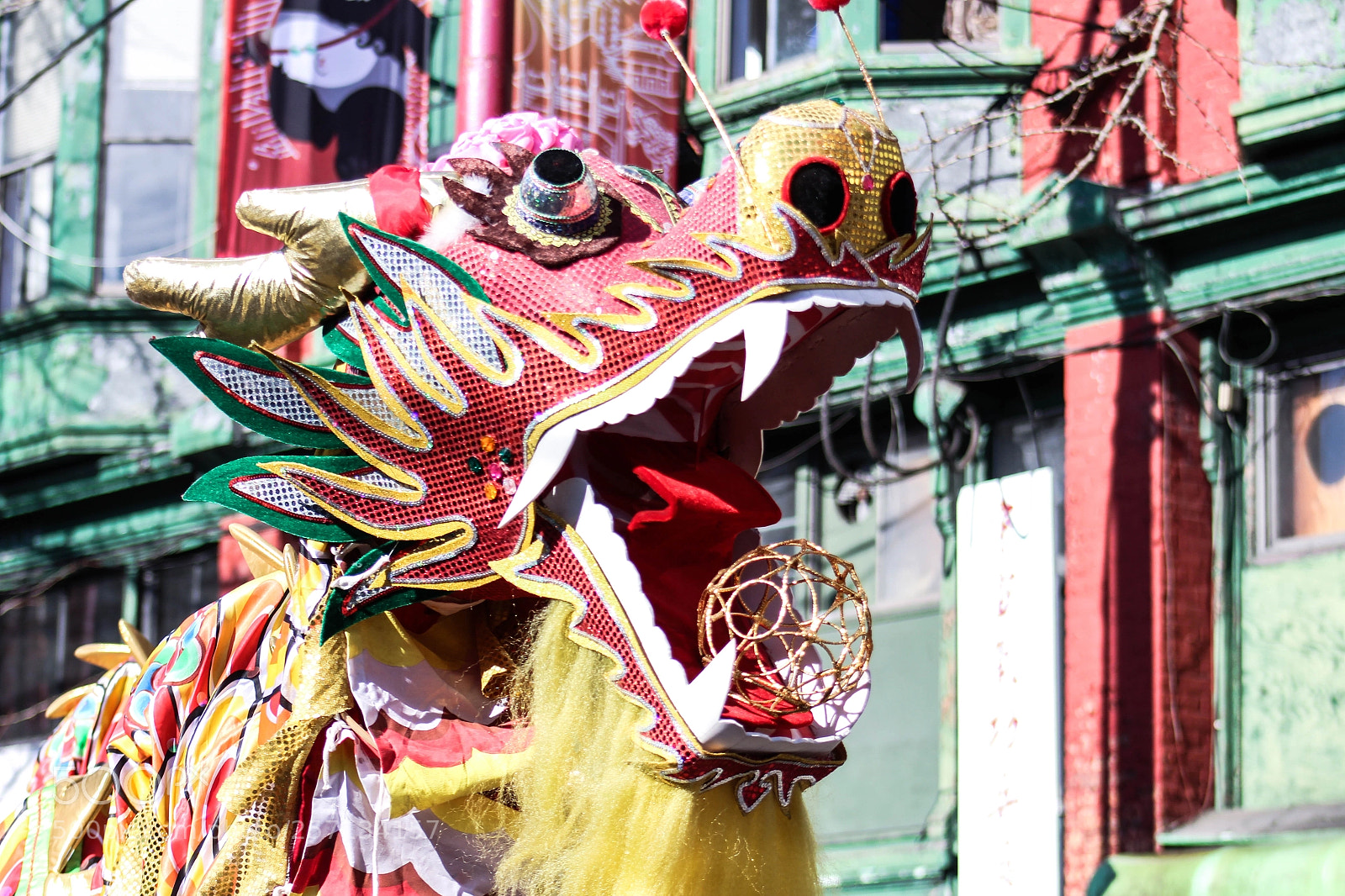 Canon EOS 700D (EOS Rebel T5i / EOS Kiss X7i) sample photo. Dragon in the chinese photography