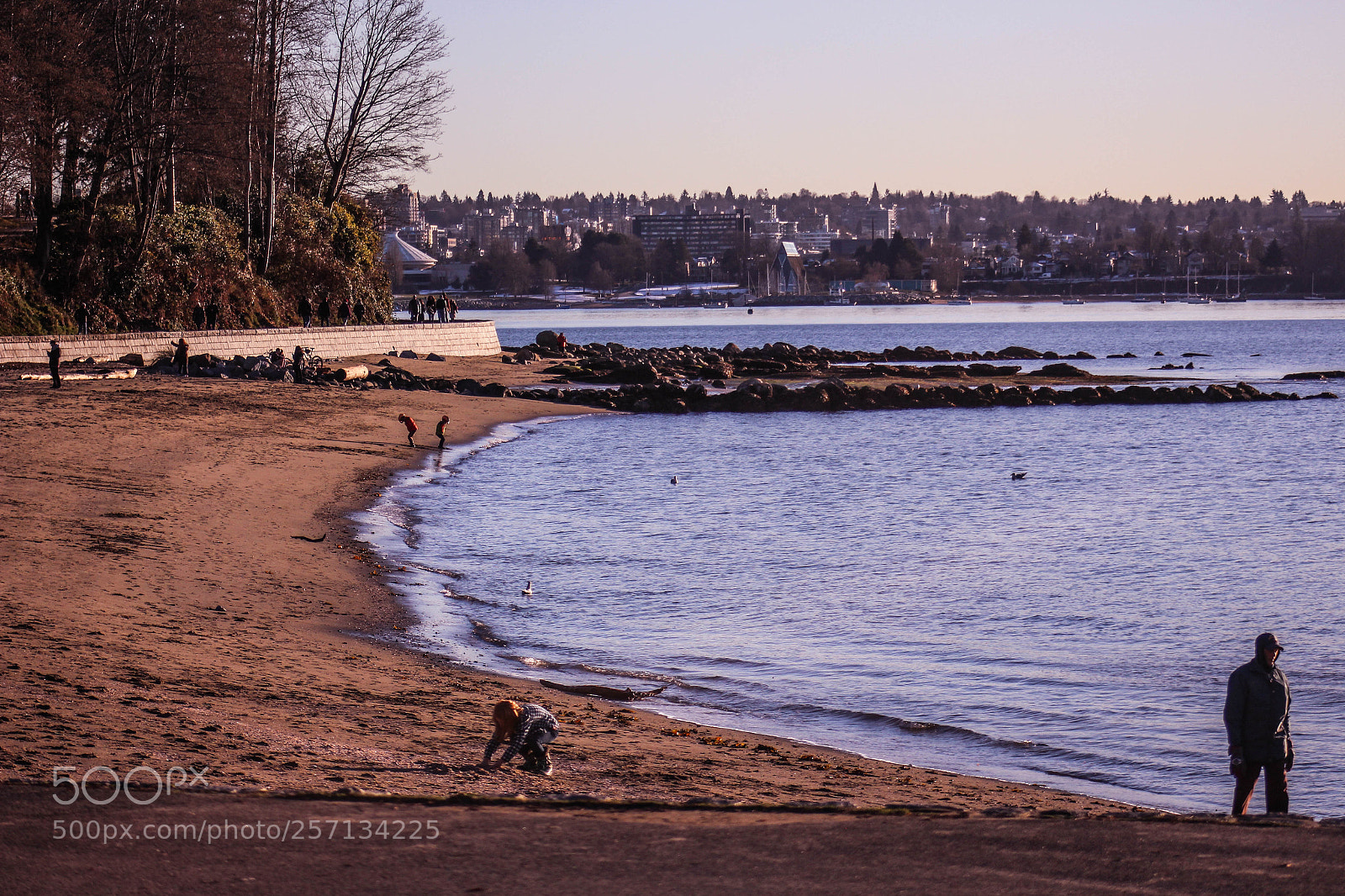 Canon EOS 700D (EOS Rebel T5i / EOS Kiss X7i) sample photo. Stanley park beach at photography
