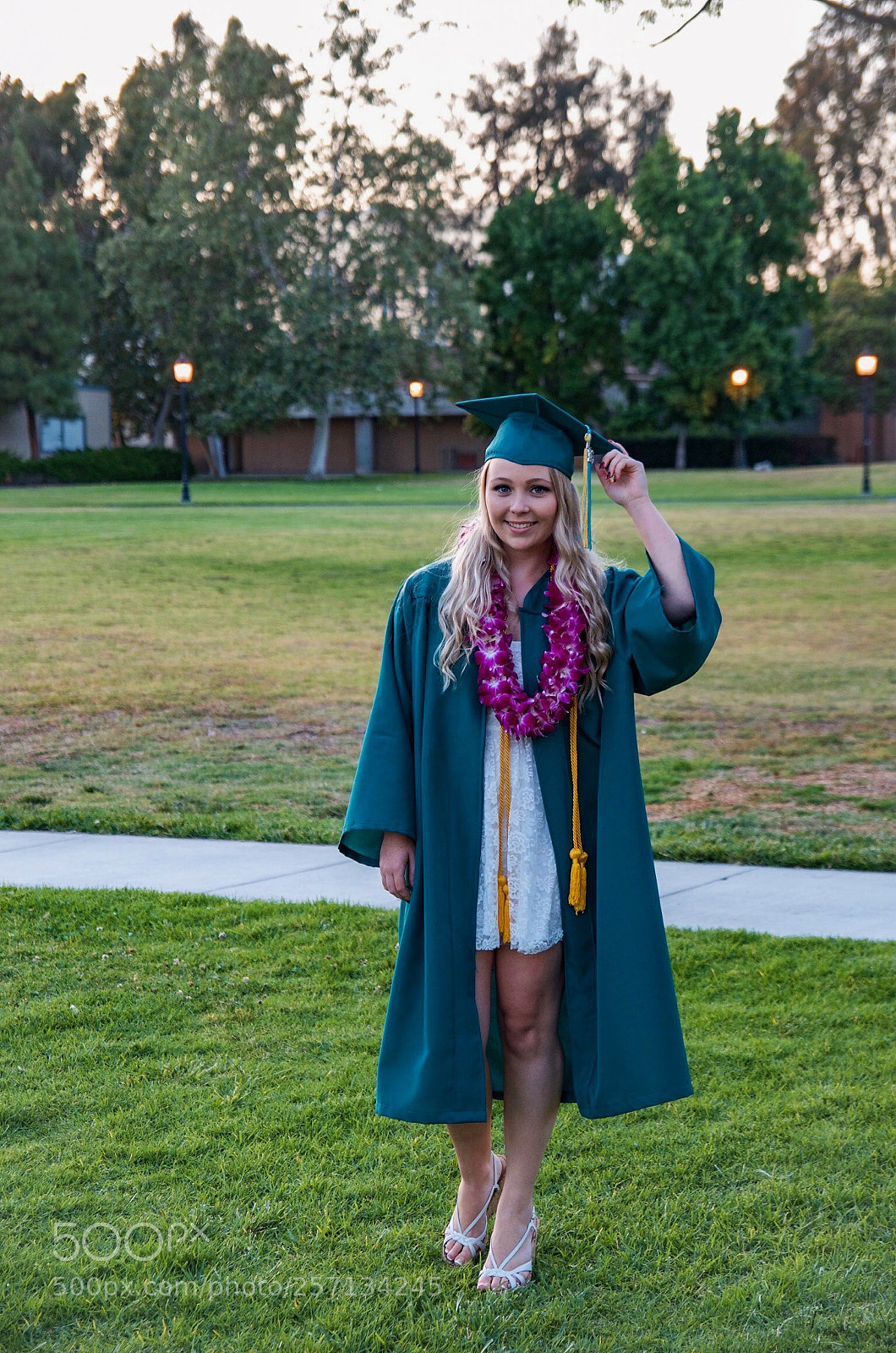 Nikon D7000 sample photo. Golden west grad photography