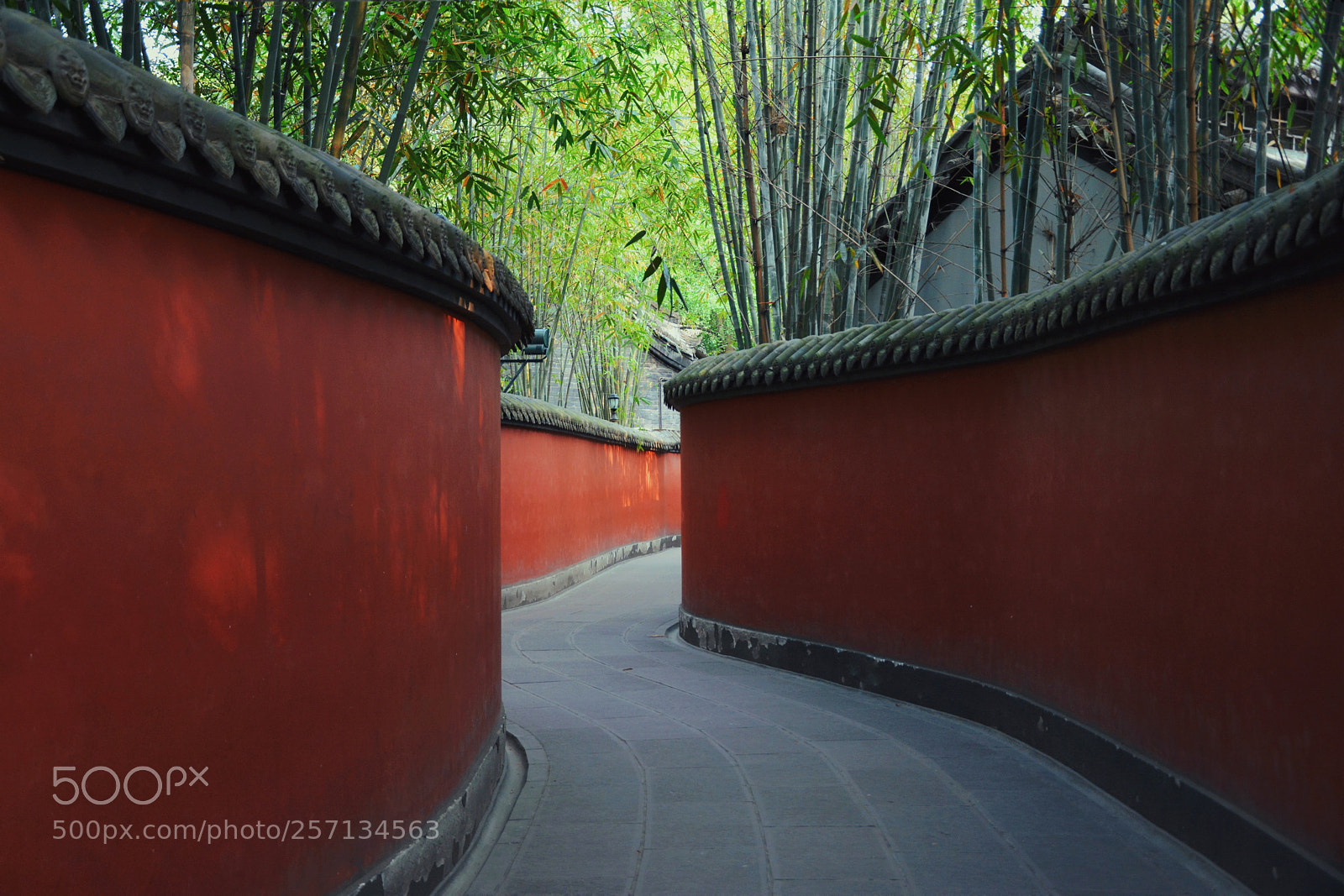 Nikon D7100 sample photo. 成都 photography